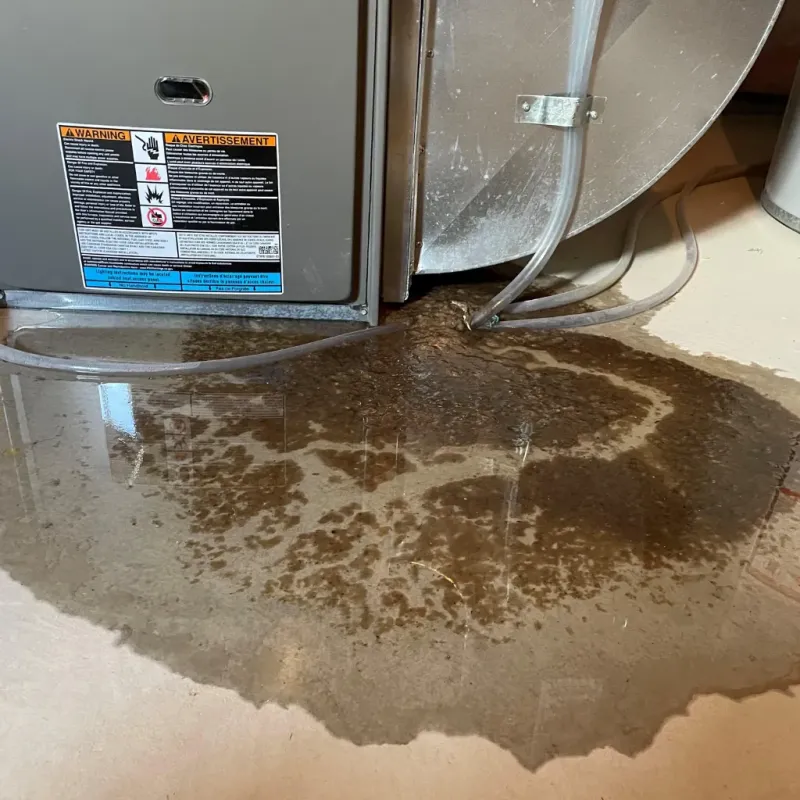 Appliance Leak Cleanup in Archer Lodge, NC